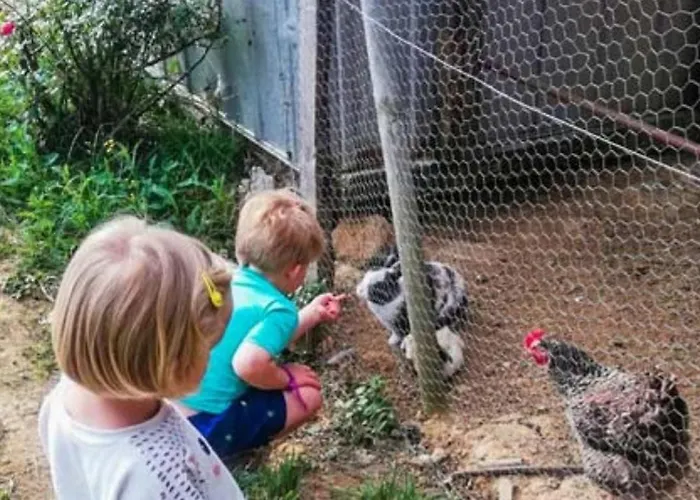 Mobil-home Prestige Avec Terrasse Pour 4 Personnes - Api-1-52-1050 *