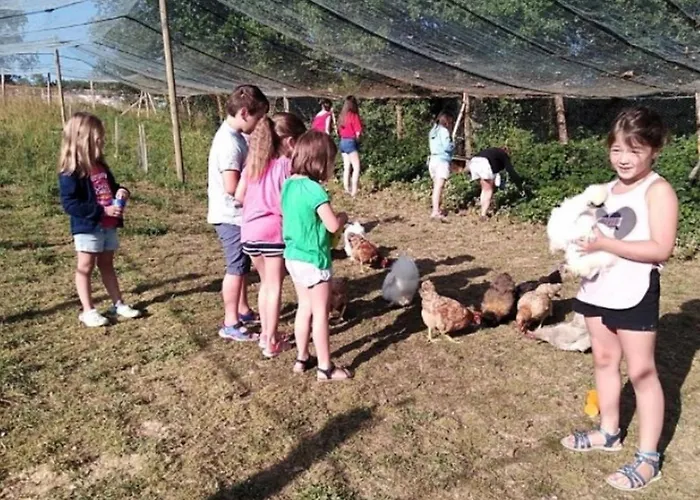 Mobil-home Prestige Avec Terrasse Pour 4 Personnes - Api-1-52-1050 Kamp alanı