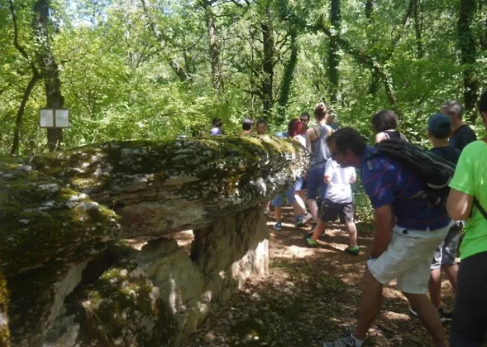 Mobil-home Prestige Avec Terrasse Pour 4 Personnes - Api-1-52-1050 Martiel