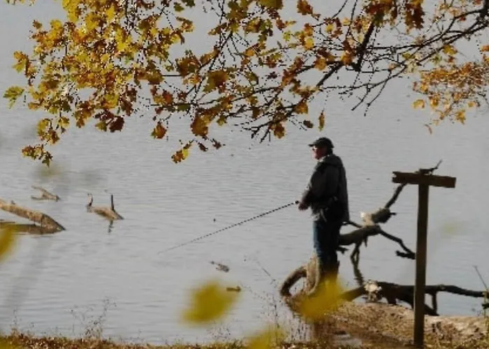 Mobil-home Prestige Avec Terrasse Pour 4 Personnes - Api-1-52-1050 *